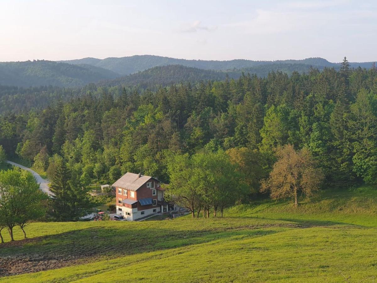 Apartma Narava Begunje pri Cerknici 外观 照片
