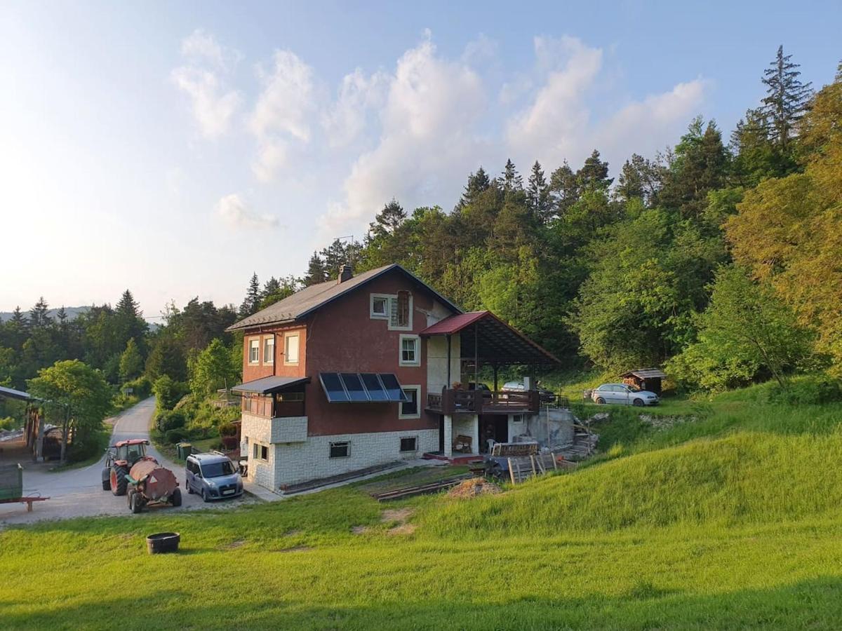 Apartma Narava Begunje pri Cerknici 外观 照片