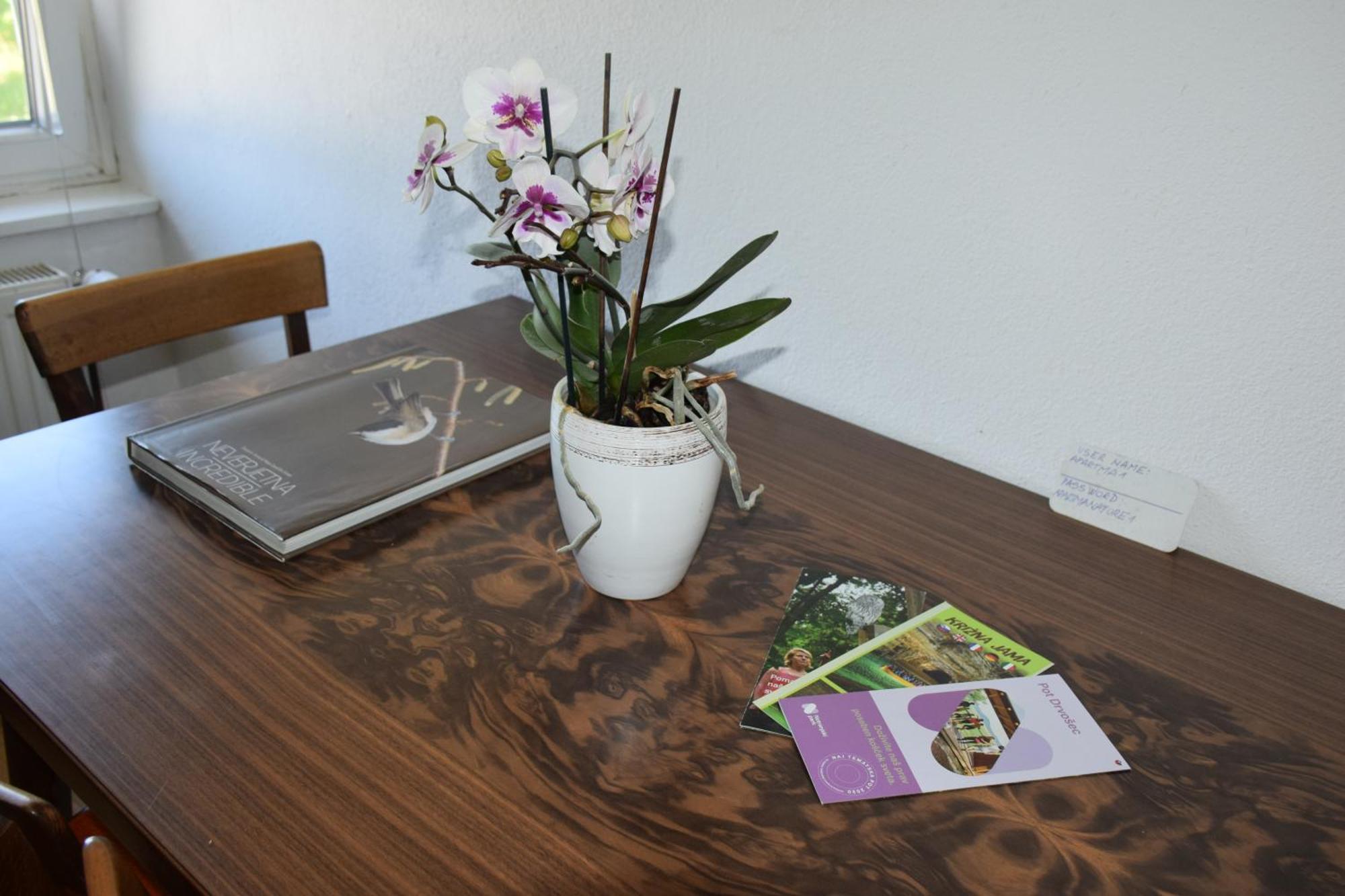 Apartma Narava Begunje pri Cerknici 客房 照片